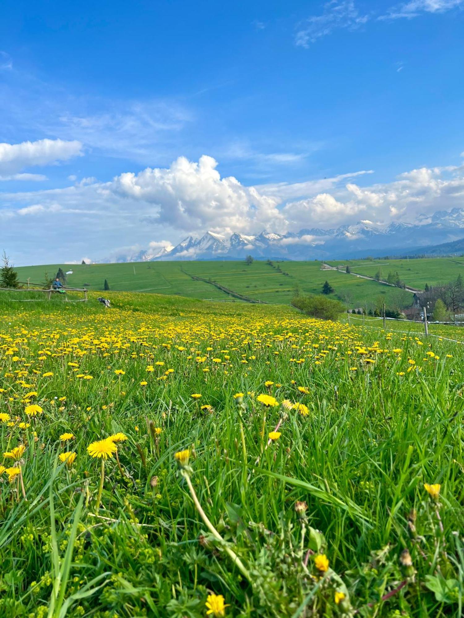 Agrodomek Rzepiska المظهر الخارجي الصورة